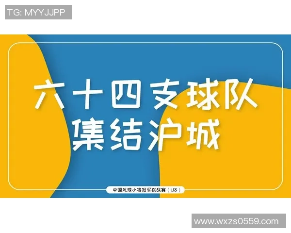 南京足球队在挑战赛中的意识表现分析与点评