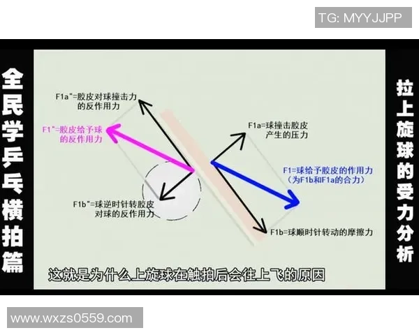 重庆乒乓球队的节奏揭秘与深度分析探索乒乓球的魅力与技术之美 重庆乒乓球队的节奏揭秘与深度分析探索乒乓球的魅力与技术之美