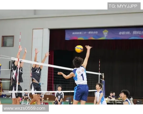 杭州排球队的精神风貌与团队意识探讨:排球运动中的团结与拼搏精神 杭州排球队的精神风貌与团队意识探讨:排球运动中的团结与拼搏精神