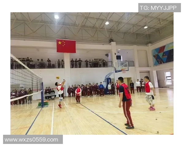 西安排球队状态分析与未来发展展望聚焦排球竞技之路