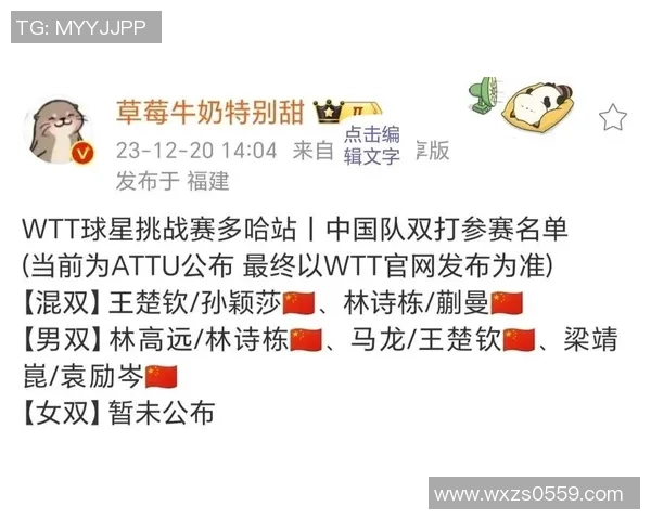 乒乓球盛宴：深入解析广州乒乓球队默契配合的秘密与技巧