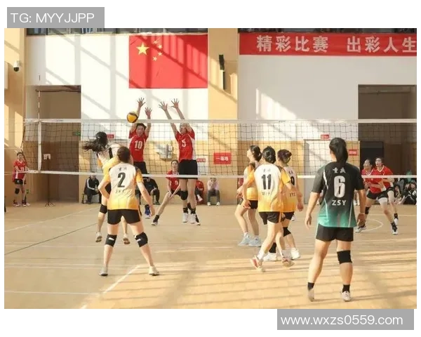 重庆排球队实力强劲荣登全国排球实力排行榜第五名