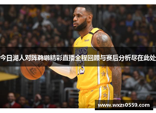 今日湖人对阵鹈鹕精彩直播全程回顾与赛后分析尽在此处