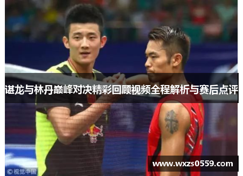 谌龙与林丹巅峰对决精彩回顾视频全程解析与赛后点评